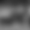 20221113_SEAatTB_MAR_RM1_9686