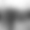 lm_LLM40614