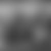 CA1_5844
