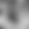 191212.wake
