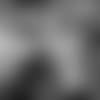 191211.blasingame