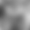 Terrell_AP_column