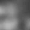 twitter-reaction-story-041819