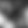 filtered-1-2560