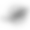 dolphins-cutout