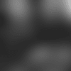 Screen Shot 2019-08-16 at 11.31.21 AM