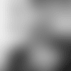 Screen Shot 2019-01-31 at 10.37.48 AM