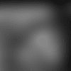 Screen Shot 2019-12-16 at 5.51.39 PM