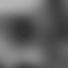 Screen Shot 2019-05-08 at 4.51.24 PM