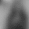 Screen Shot 2018-08-05 at 11.12.13 AM