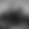Screen Shot 2019-05-01 at 2.15.26 PM