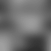 Screen Shot 2020-01-17 at 12.10.25 PM