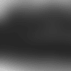Screen Shot 2018-11-27 at 12.25.23 PM