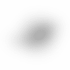 dolphins-logo