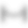 access-private-icon
