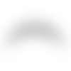 2020_Logo_Chargers