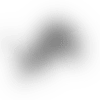 lions-logo