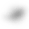 2020_Logo_Dolphins