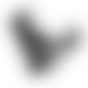 350x350_Houston_Texans