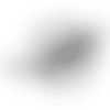 Dolphins-Logo