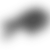 Bills-Logo