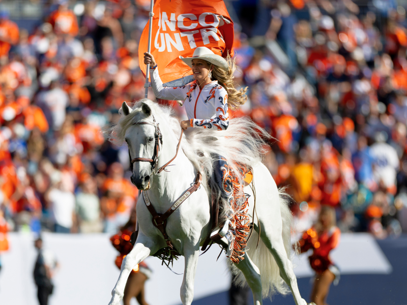 Thunder, the Broncos’ Arabian stallion