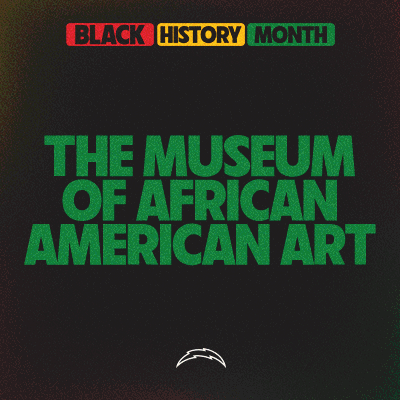 The Museum of African American Art