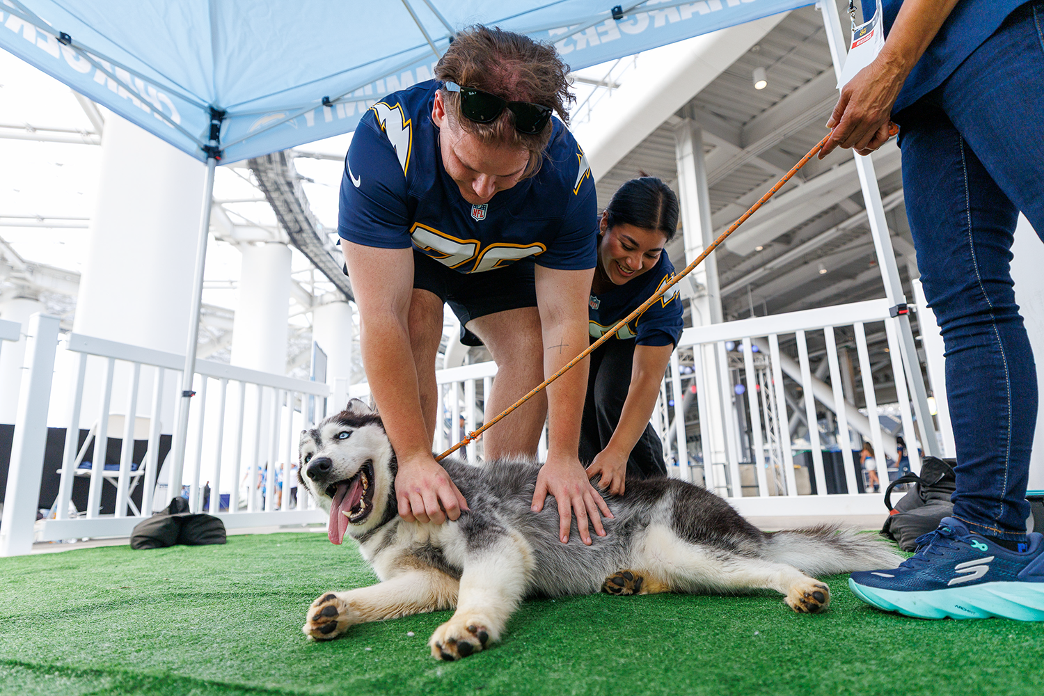 Most Valuable Pups