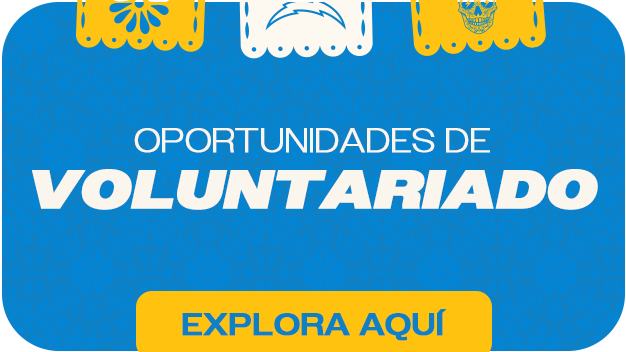 Oportunidades de Voluntariado