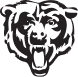 Chicago Bears