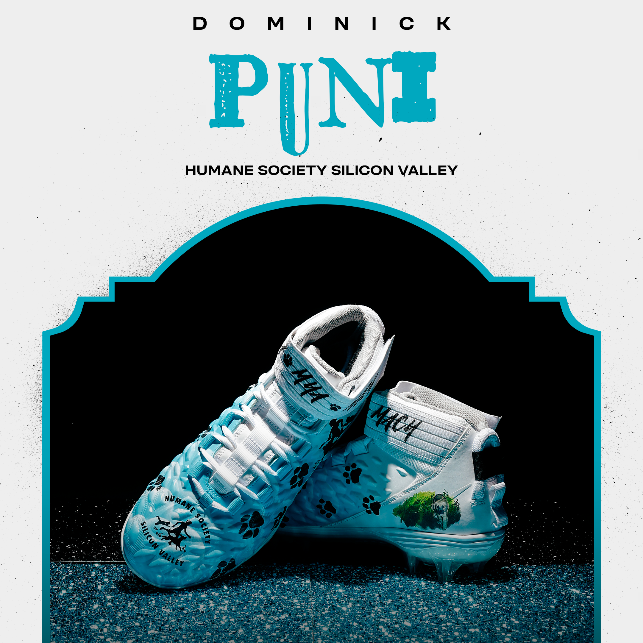 working-primary-player-mcmc-cards-Puni