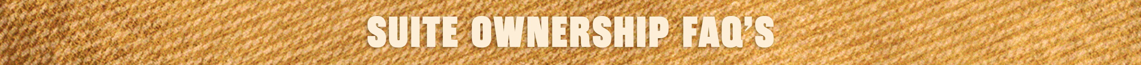 8- Suite FAQ Banner