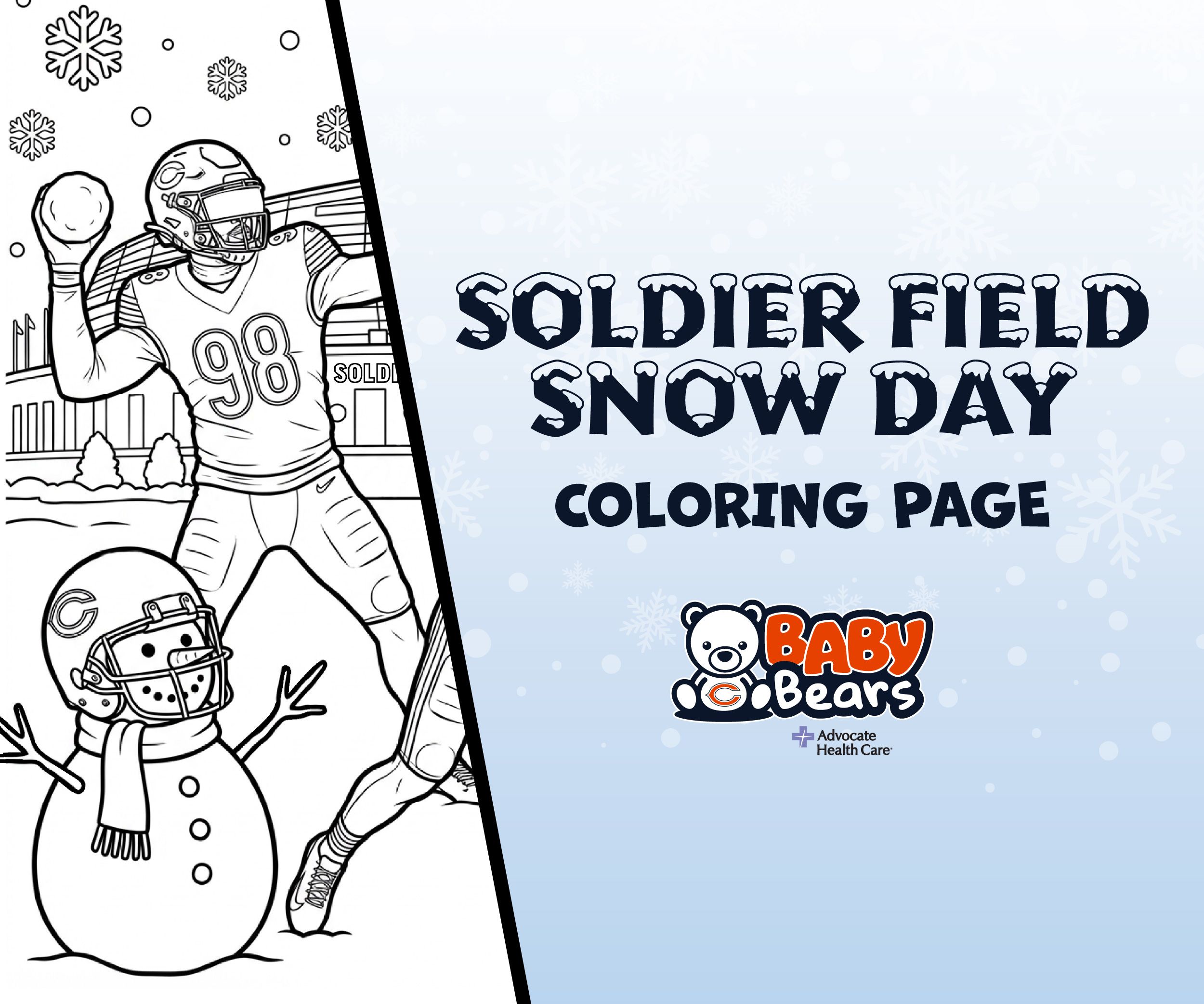 Soldier Field Snow Day