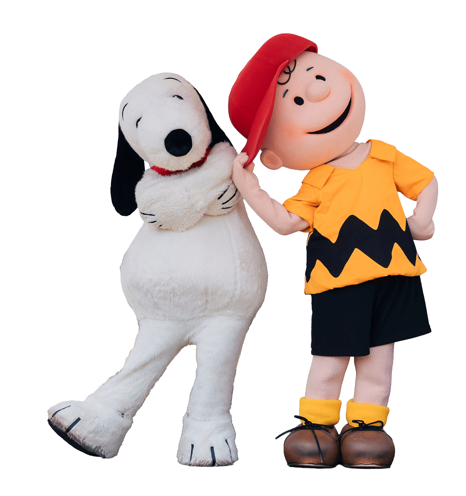 Enjoy Gameday, Da Peanuts Way!