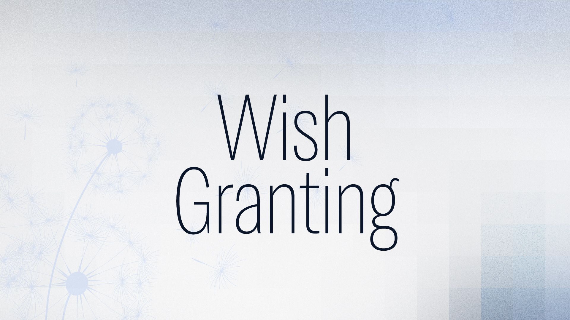 Wish Granting