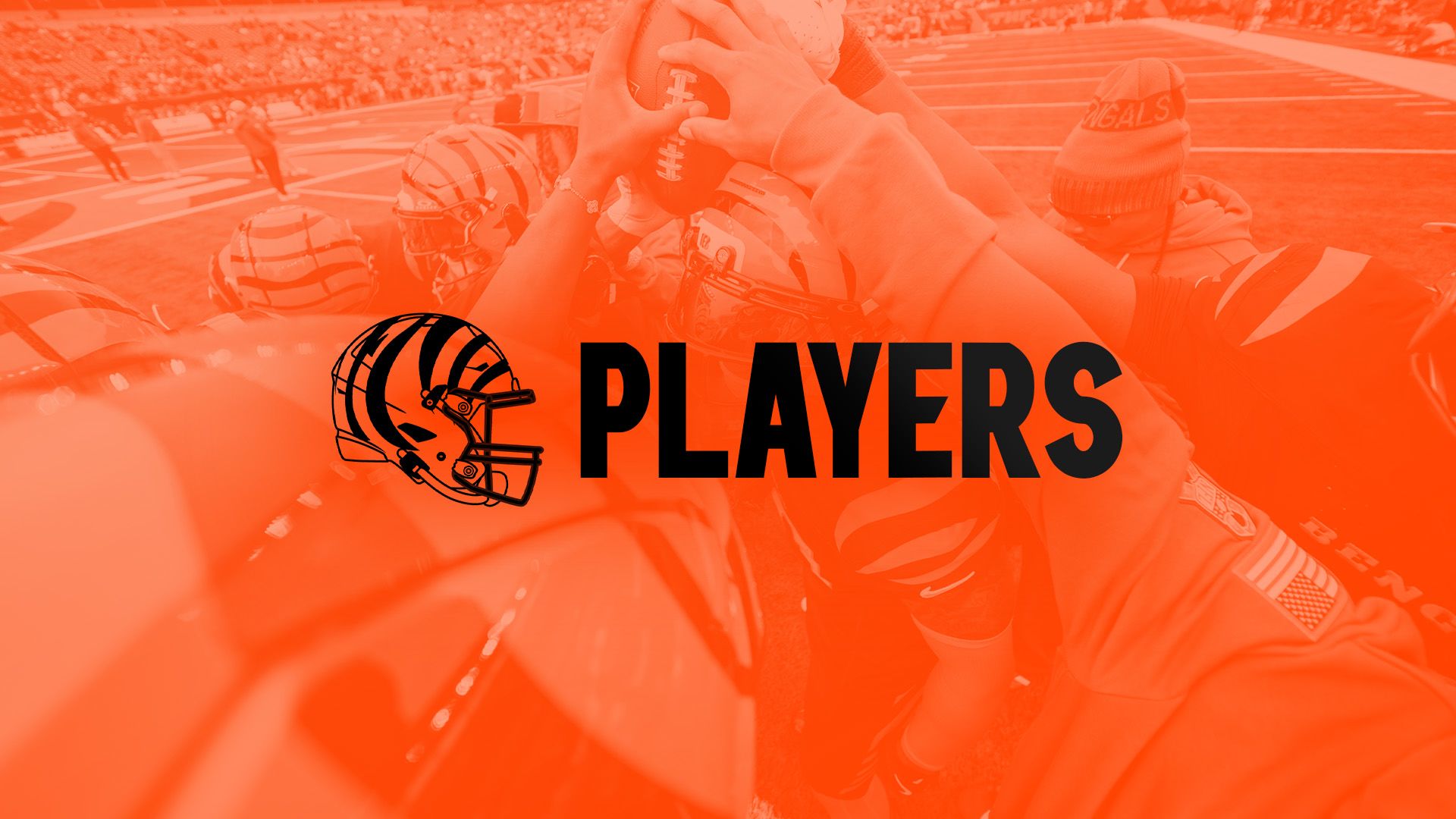 View Roster Here