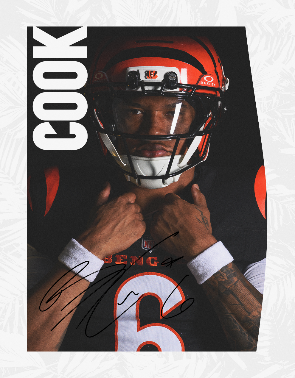 Cook Front