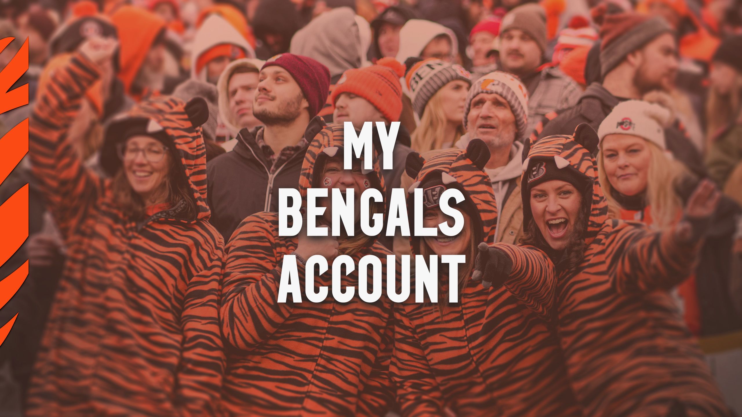 My Bengals Account