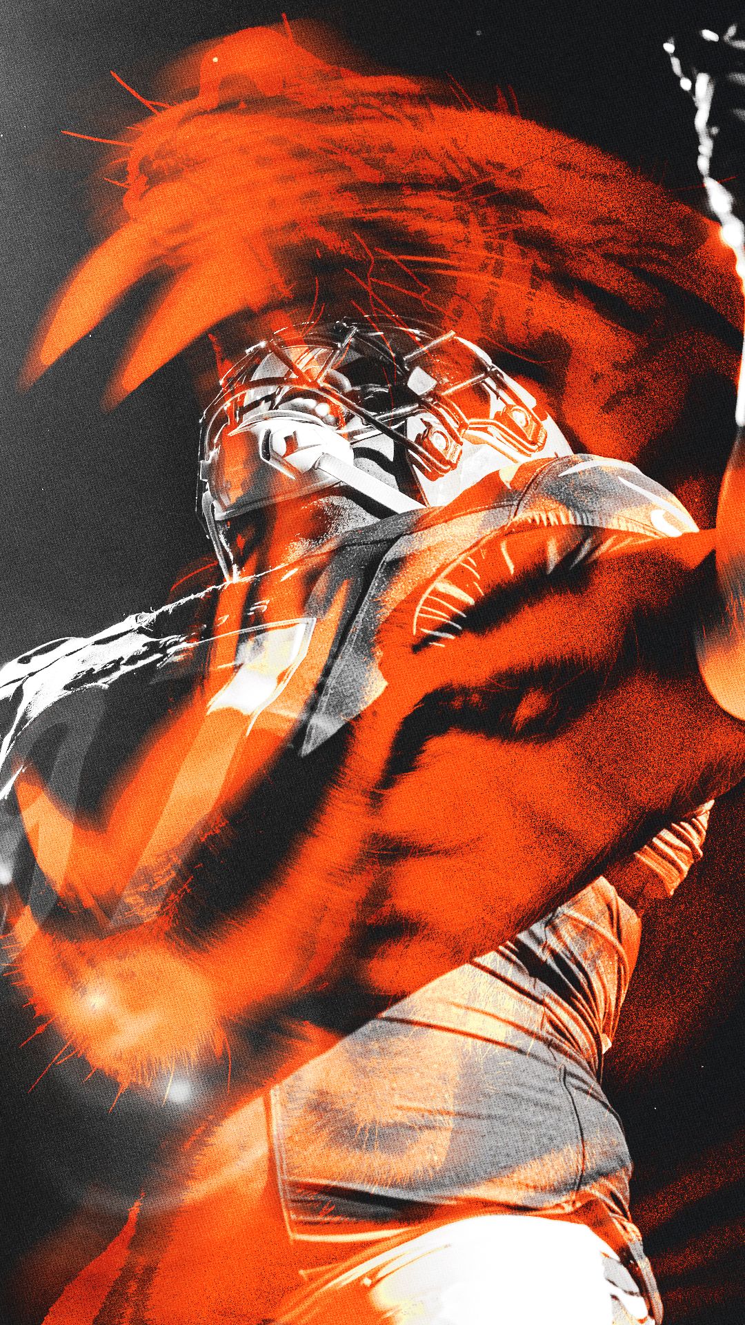 Dexter Tiger roaor