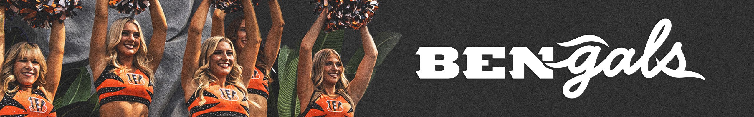 BenGals Page Header