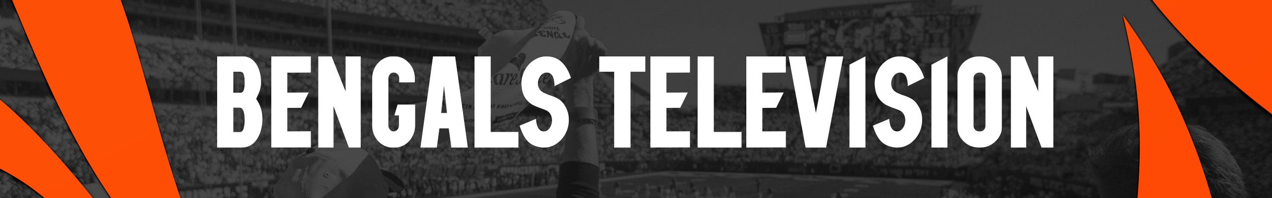 Television Page Header thumbnail 072726