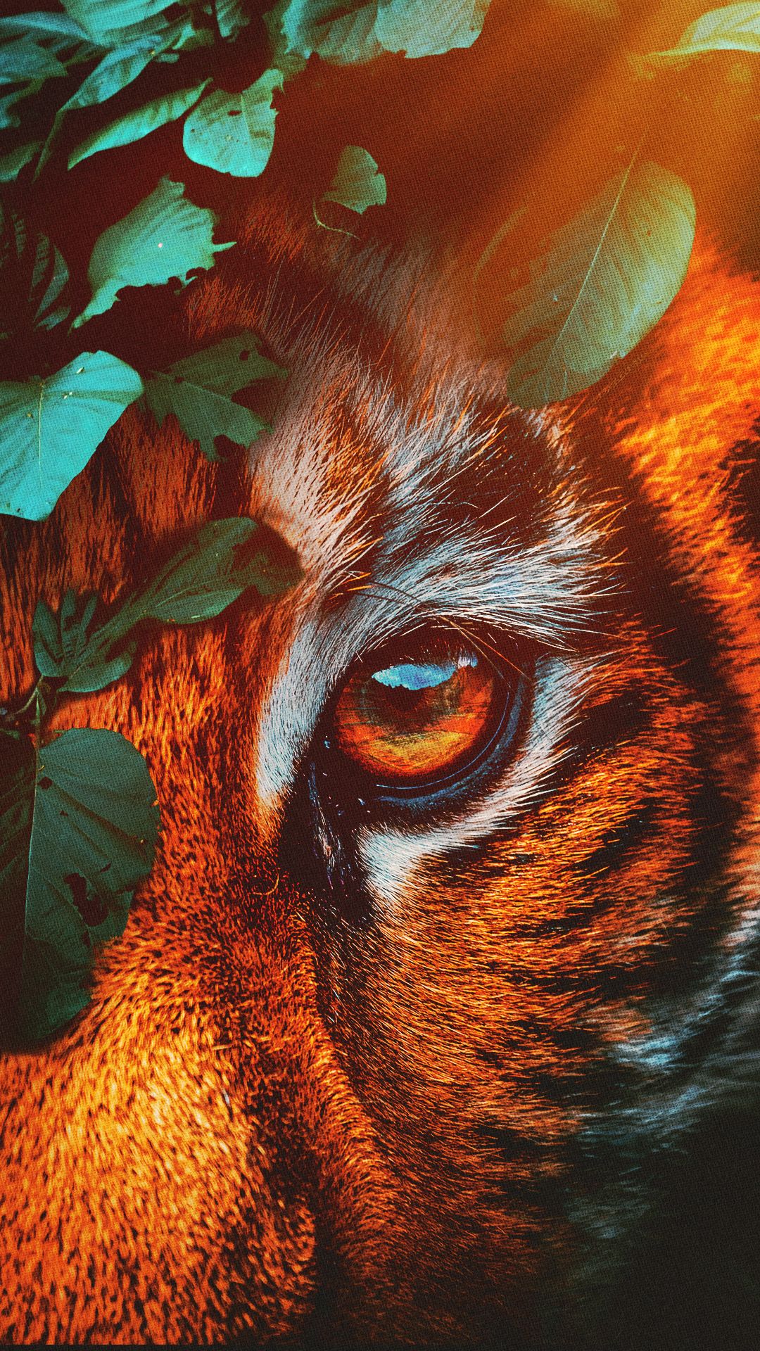 TIger Eye OIO