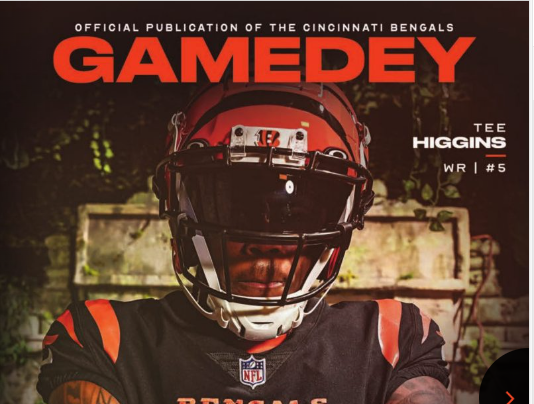 Week 15 vs Indianapolis Colts