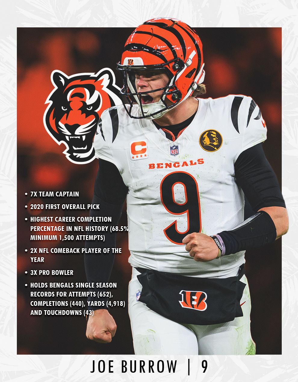 Joe Burrow Back