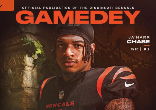 Week 10 vs Pittsburgh Steelers