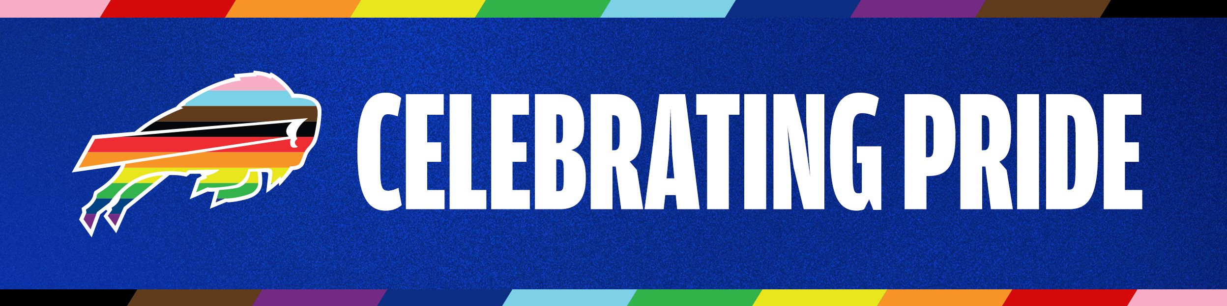 4444219235-Celebrating Pride Graphics 2496x624