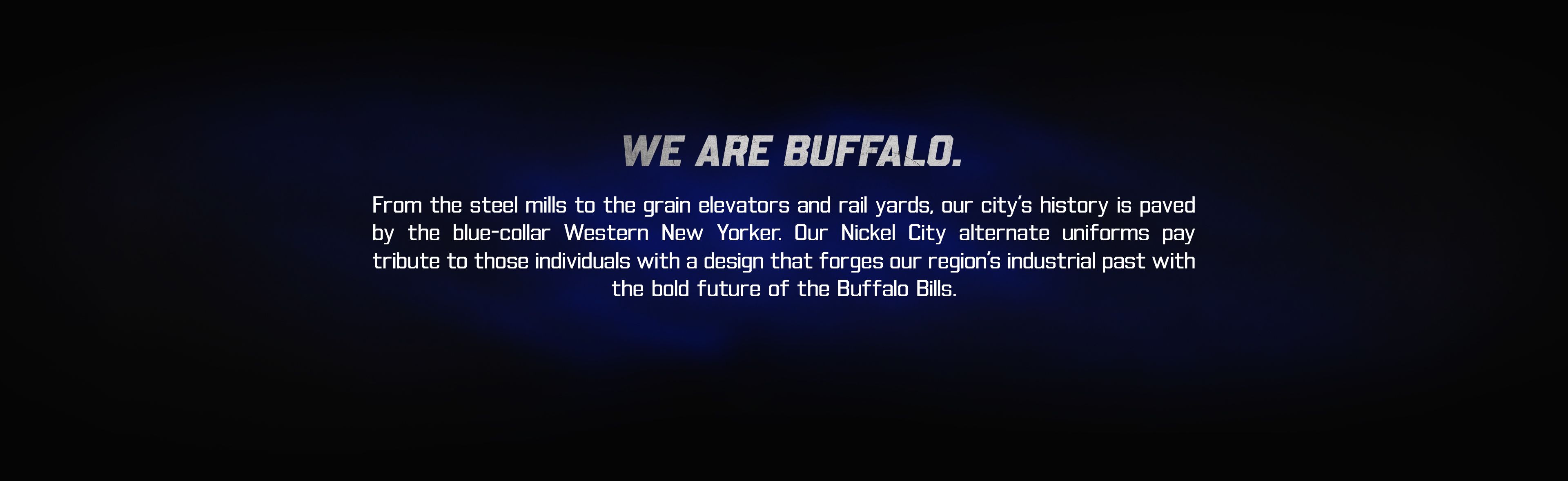 Nickel City_Blurb 2 1
