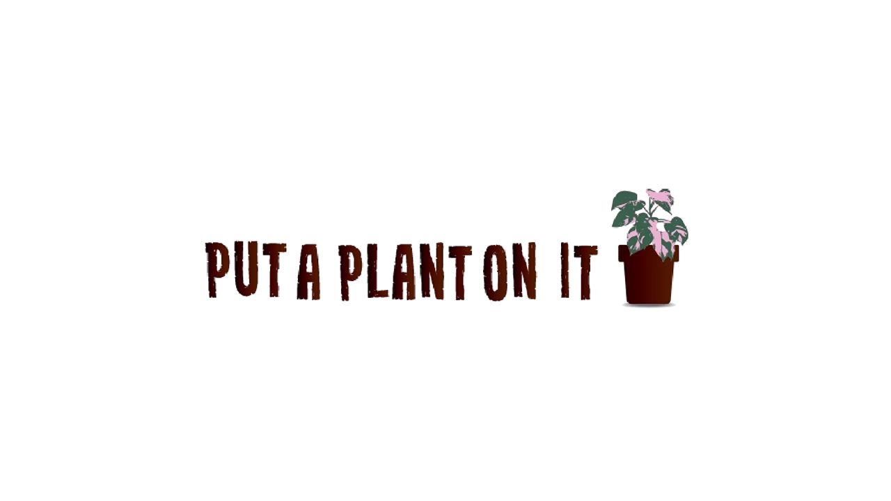 Put a Plant on it