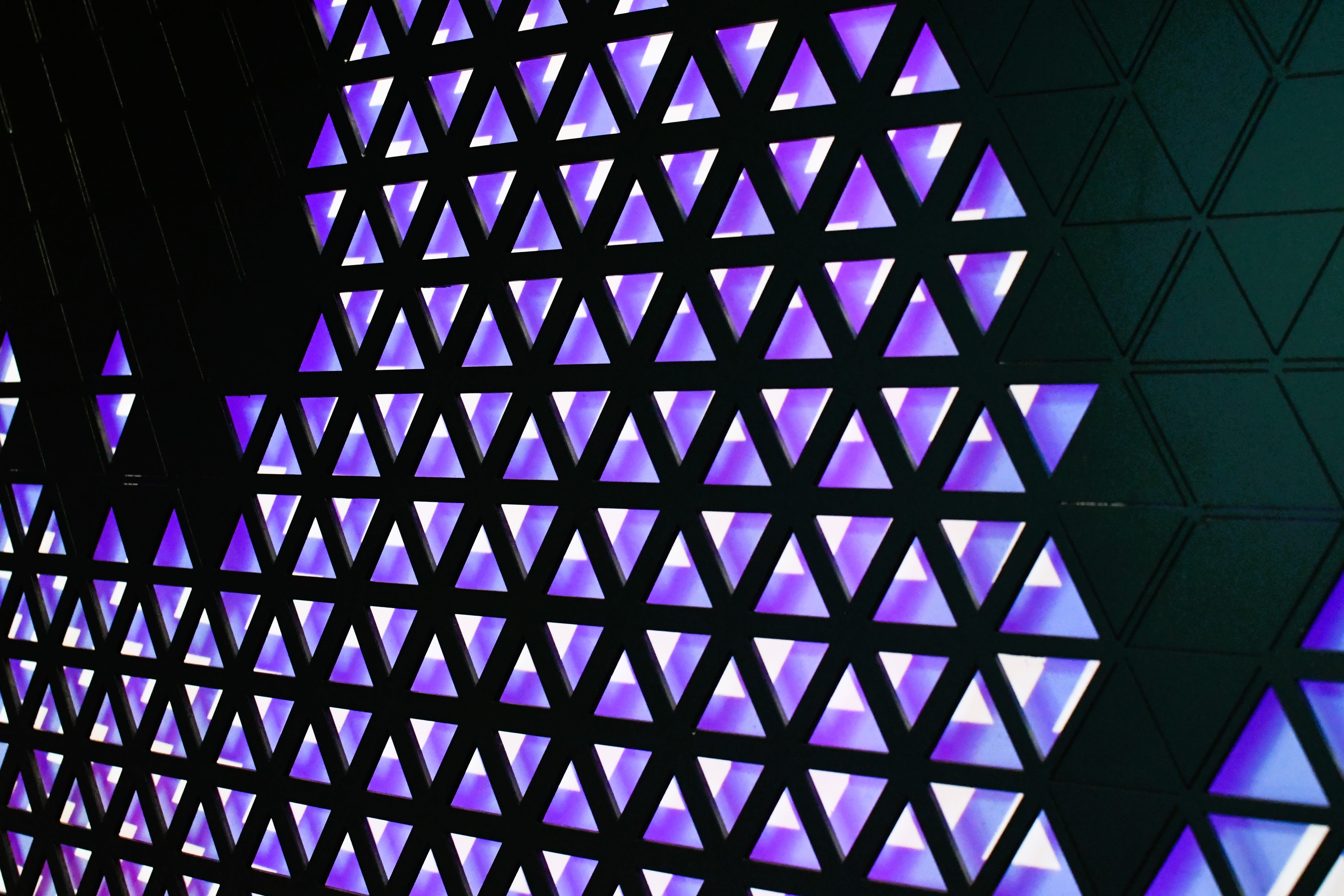 DSC_3680
