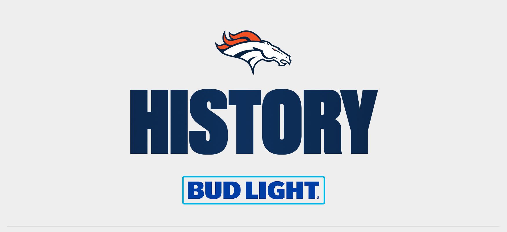 Team history banner